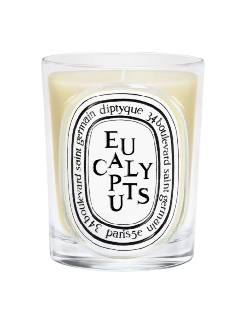 Klassische Eukalyptuskerze