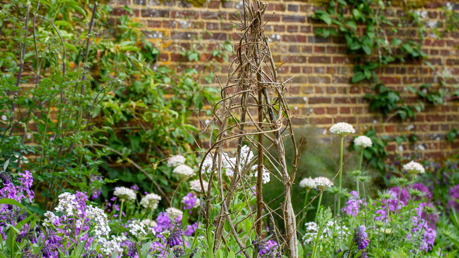 Für Blumen in einem Blumenbeet ist eine Haselnuss-Wigwam-Pflanzenstütze angebracht