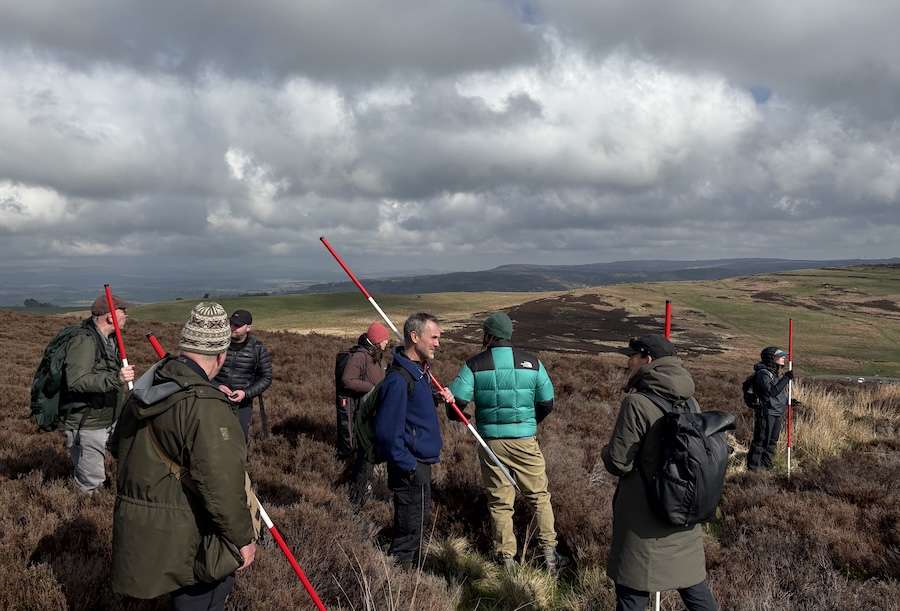 New research starts to unlock the wild secrets of vast nature recovery project