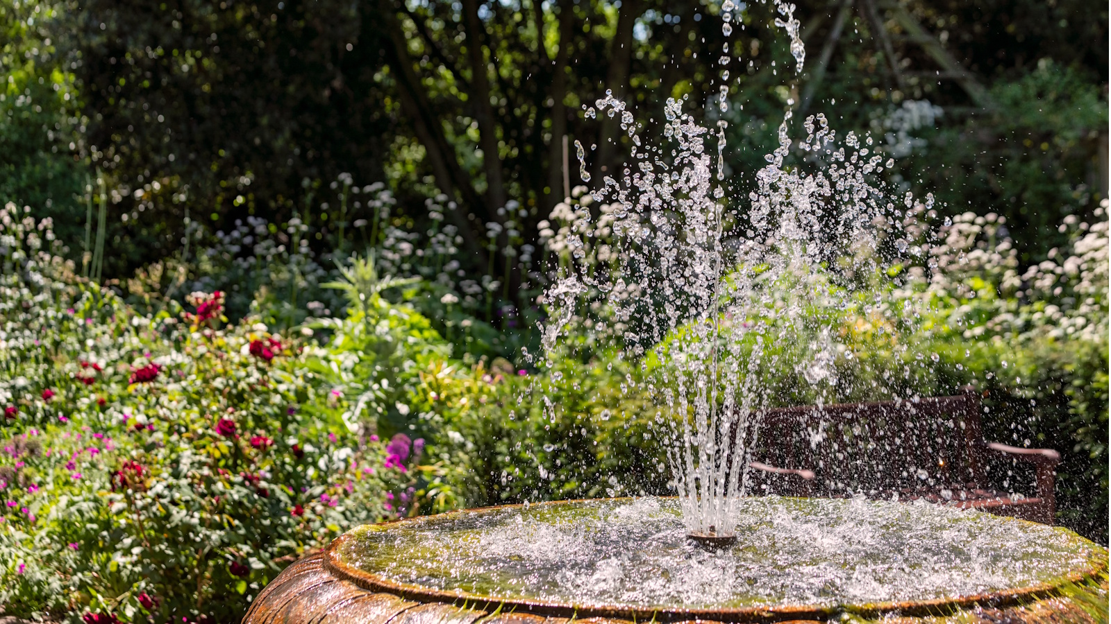 Gartenbrunnen mit Bepflanzung im Hintergrund
