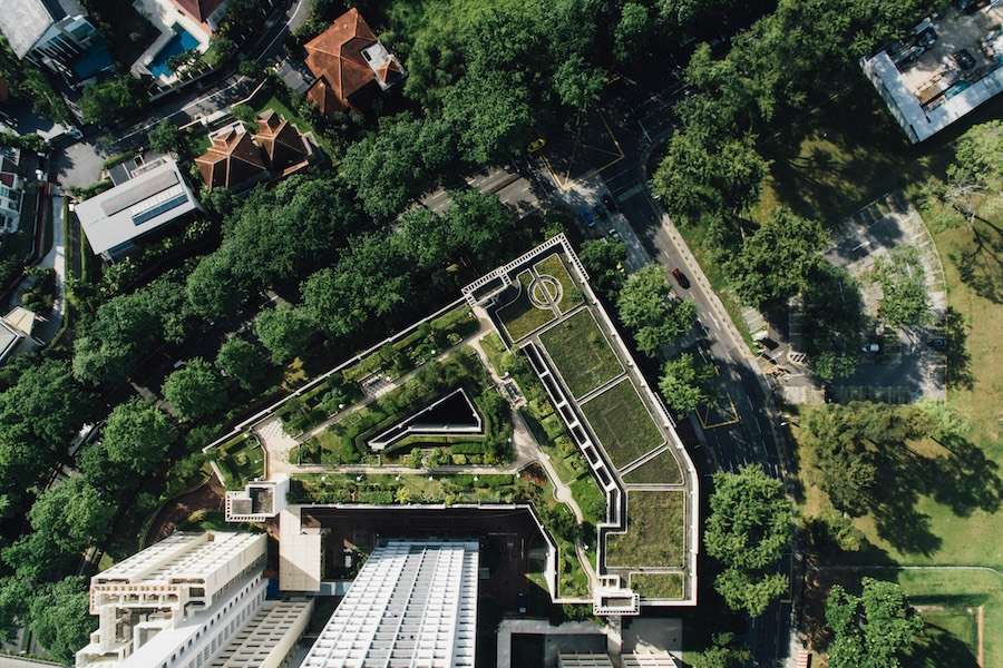 How to build cities for wildlife, not just people – new research
