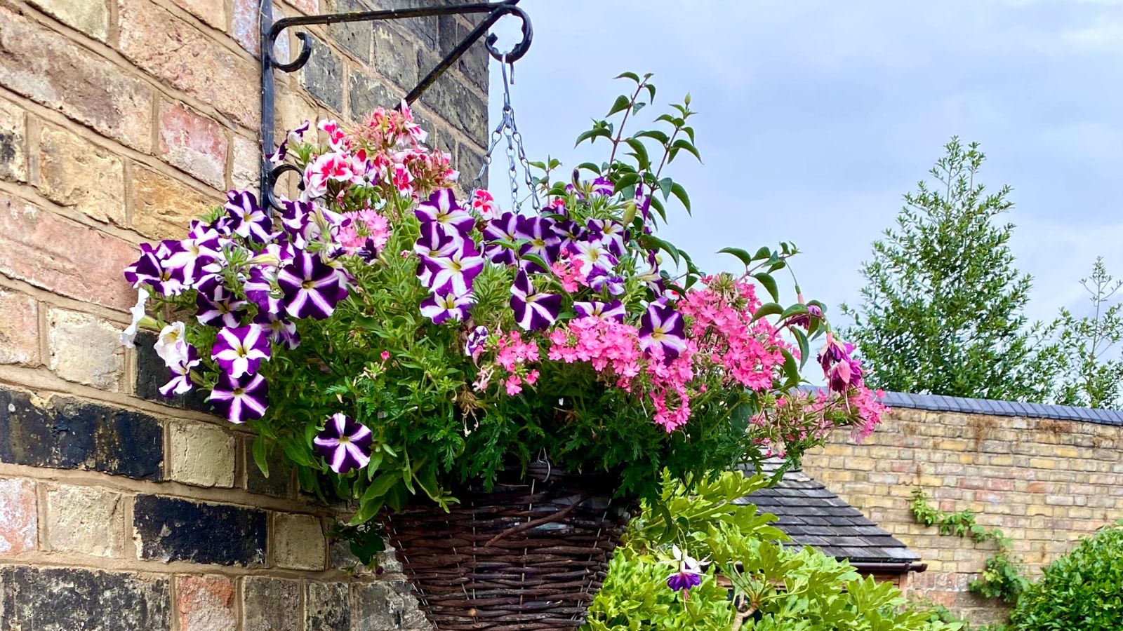 Kegelförmiger Hängekorb aus Weide mit rosa und violetten Blumen, vor einem Backsteinhaus