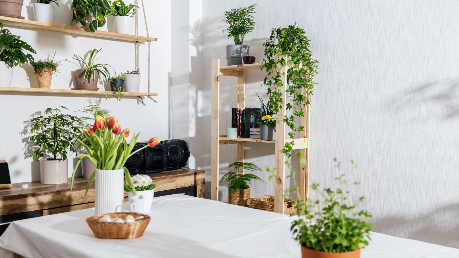 Moderne Küche mit Holzregalen und Zimmerpflanzen