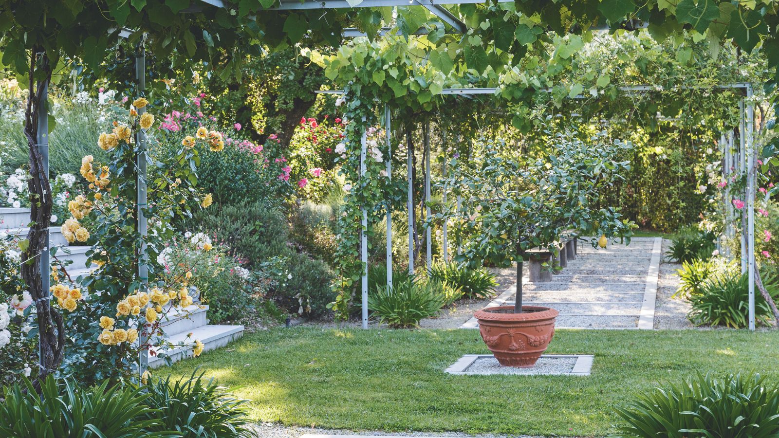 Ein heller und sonniger Garten mit grünem Rasen, gepflastertem Weg, gepflasterter Treppe und Blumen, die in Rahmen wachsen.