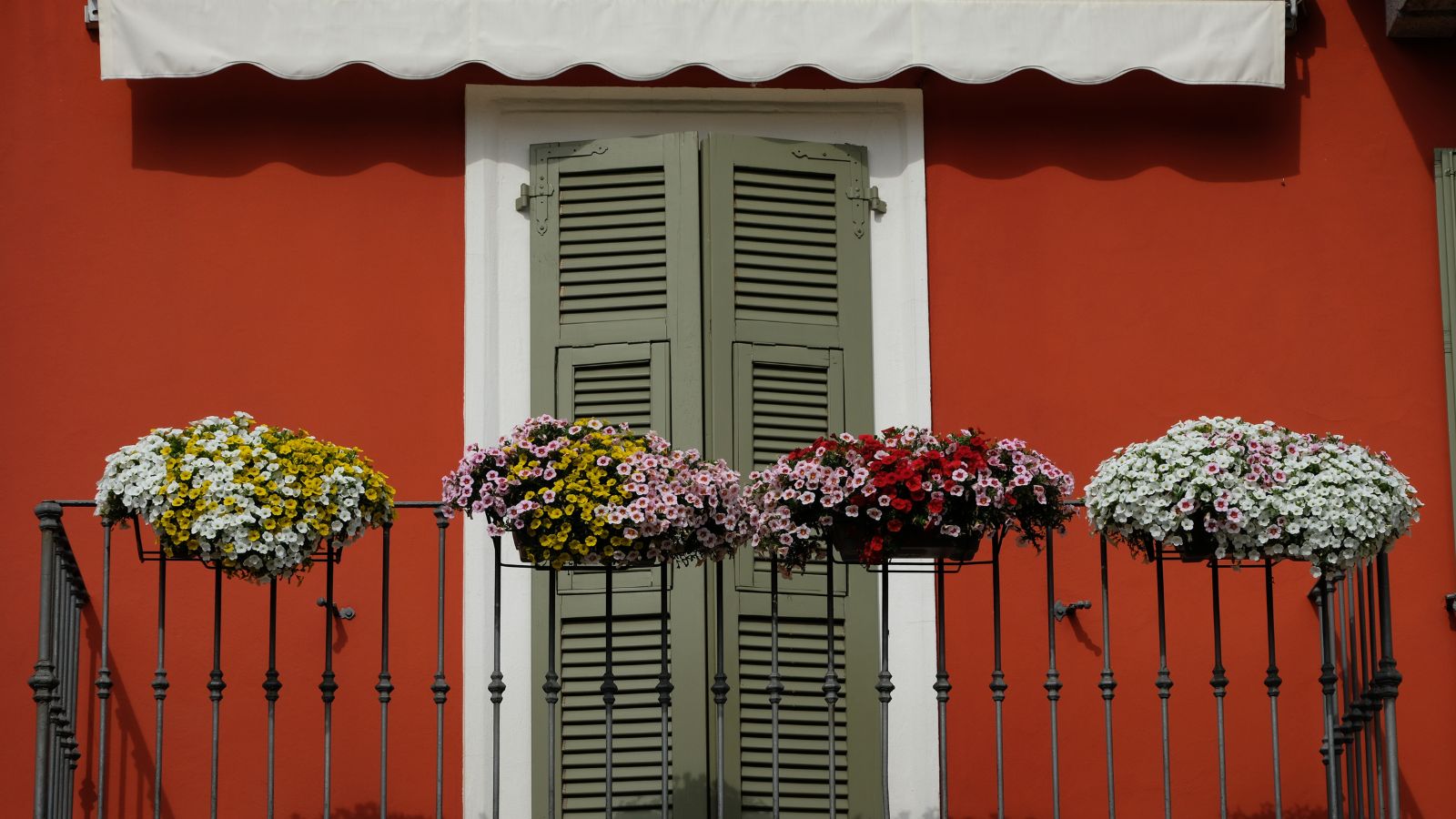 Rotes Haus mit salbeigrünen Fensterläden und schmiedeeisernem Balkon mit Blumenkästen