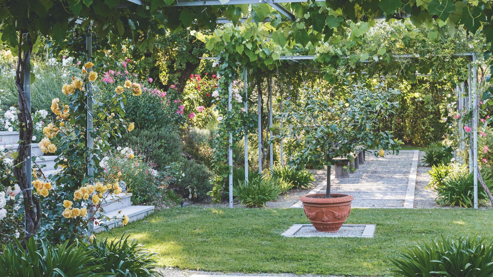 A bright and sunny garden with a green lawn, paved pathway, pathed staircase, and flowers growing up frames.