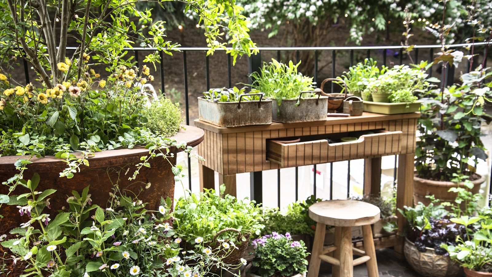 Vintage planters on a wooden desk next to large pots and planters on a city balcony