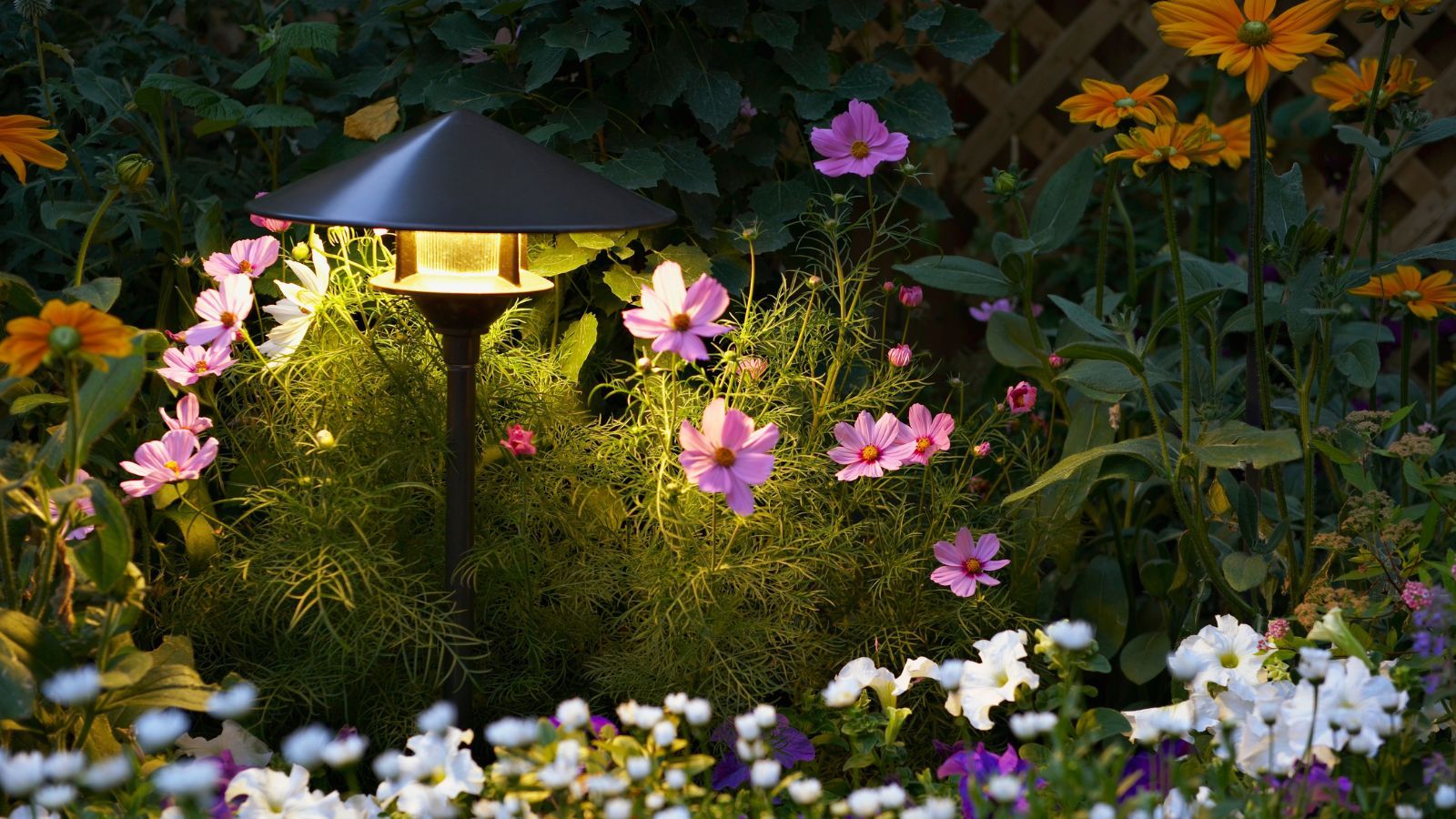 Solar lights illuminating flowers