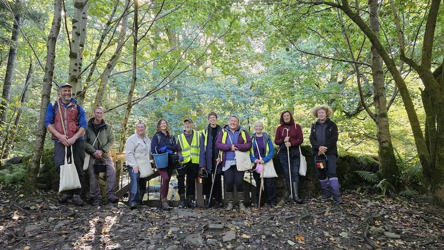 Volunteers collect over 11m rare seeds by hand from remote areas to restore Scotland