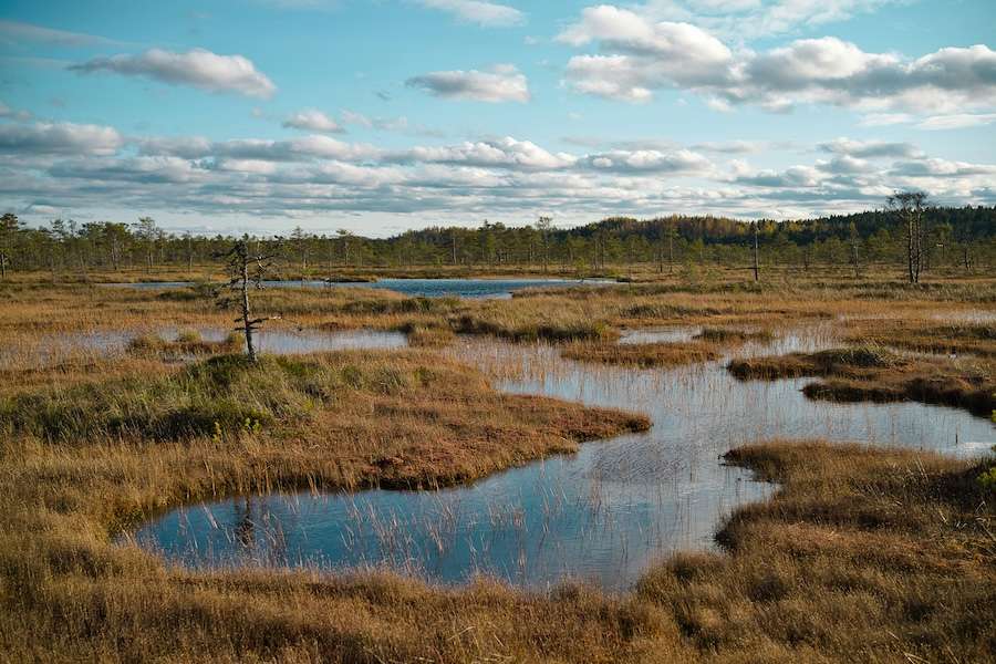 Landscapes play a huge part in conflict – and restoring them can strengthen security