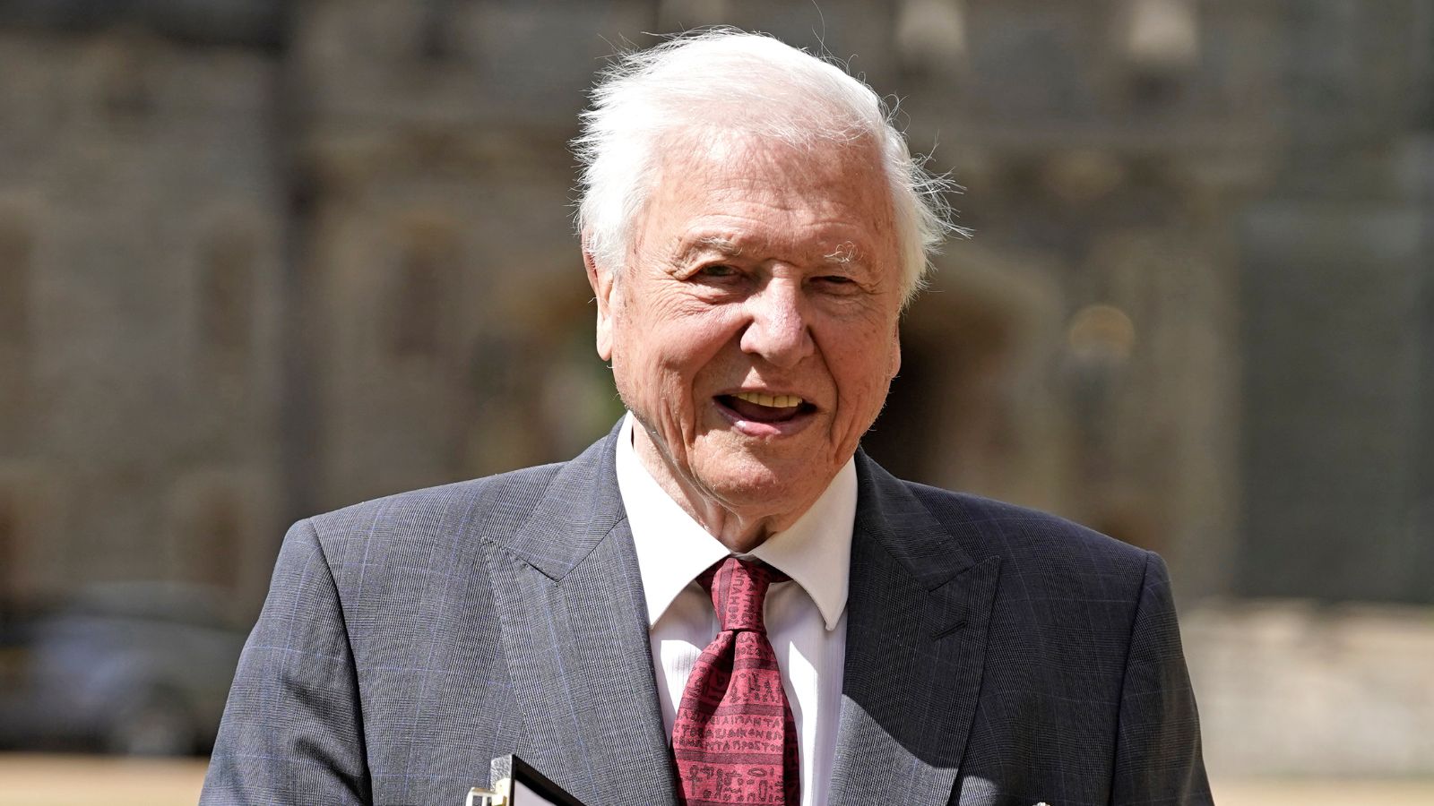 David Attenborough auf grünem Hintergrund
