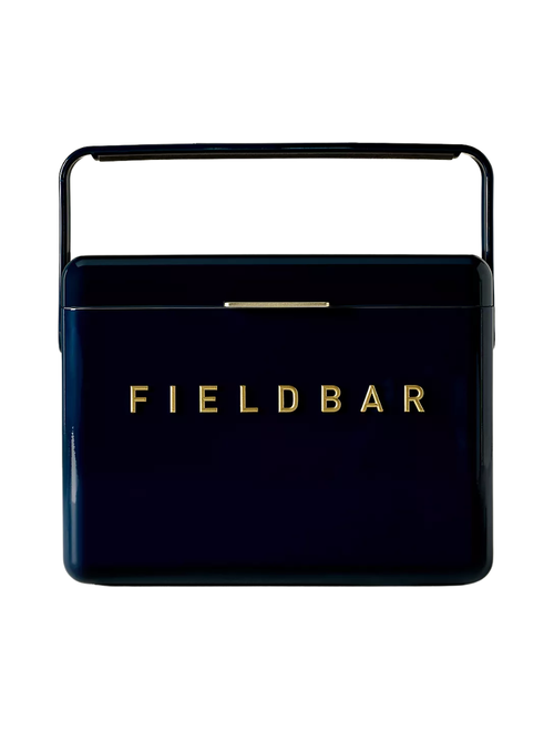 Fieldbar Minibar-Kühler