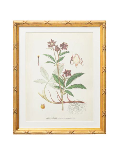Botanische Studie Nr. 2