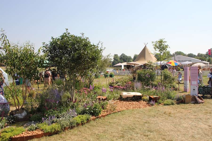 Emma’s butterfly-friendly garden wins silver medal at RHS Badminton