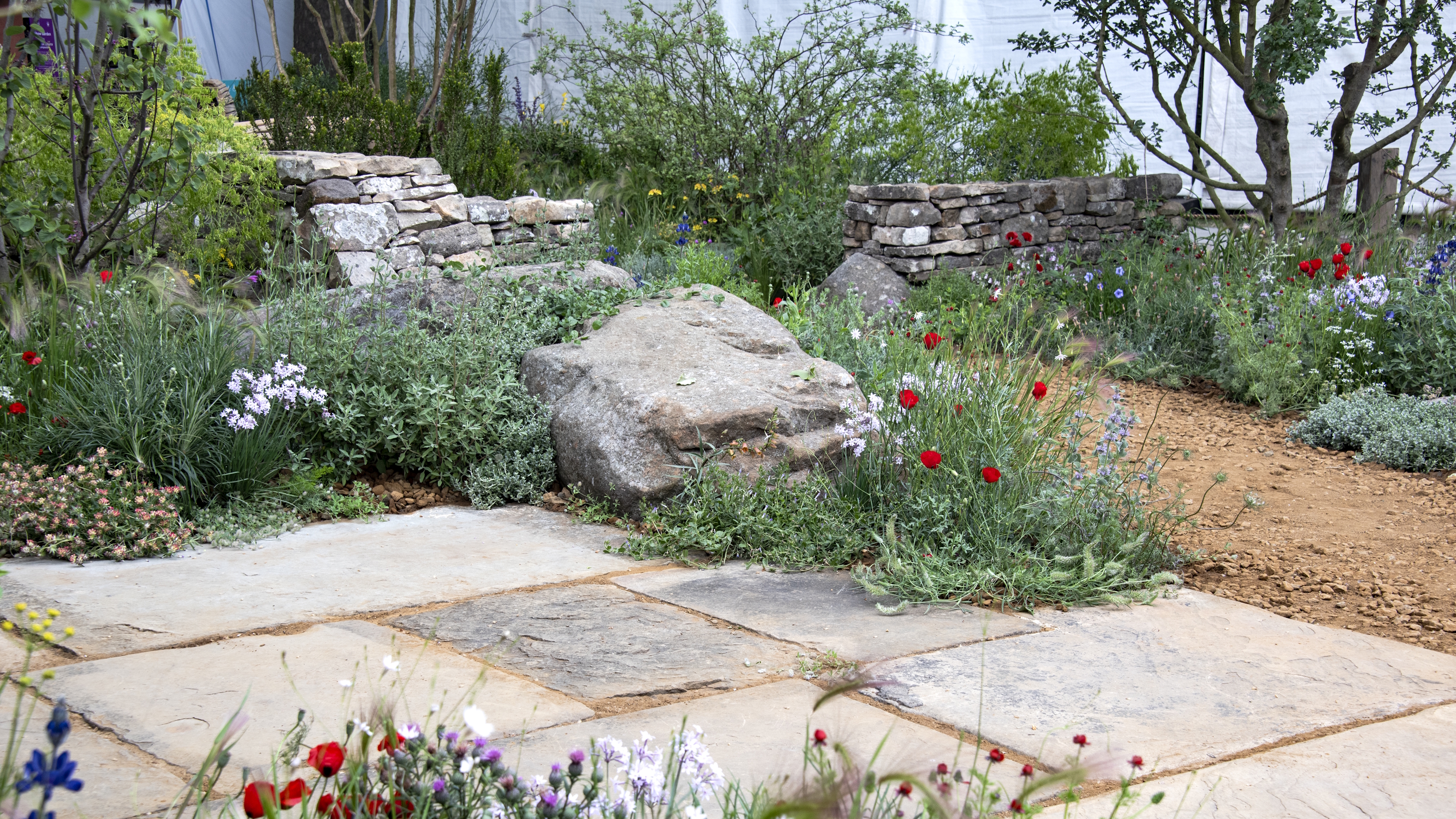 Trockenheitstolerante Pflanzen wachsen in einem Steingarten und entlang eines Steinwegs auf der Chelsea Flower Show