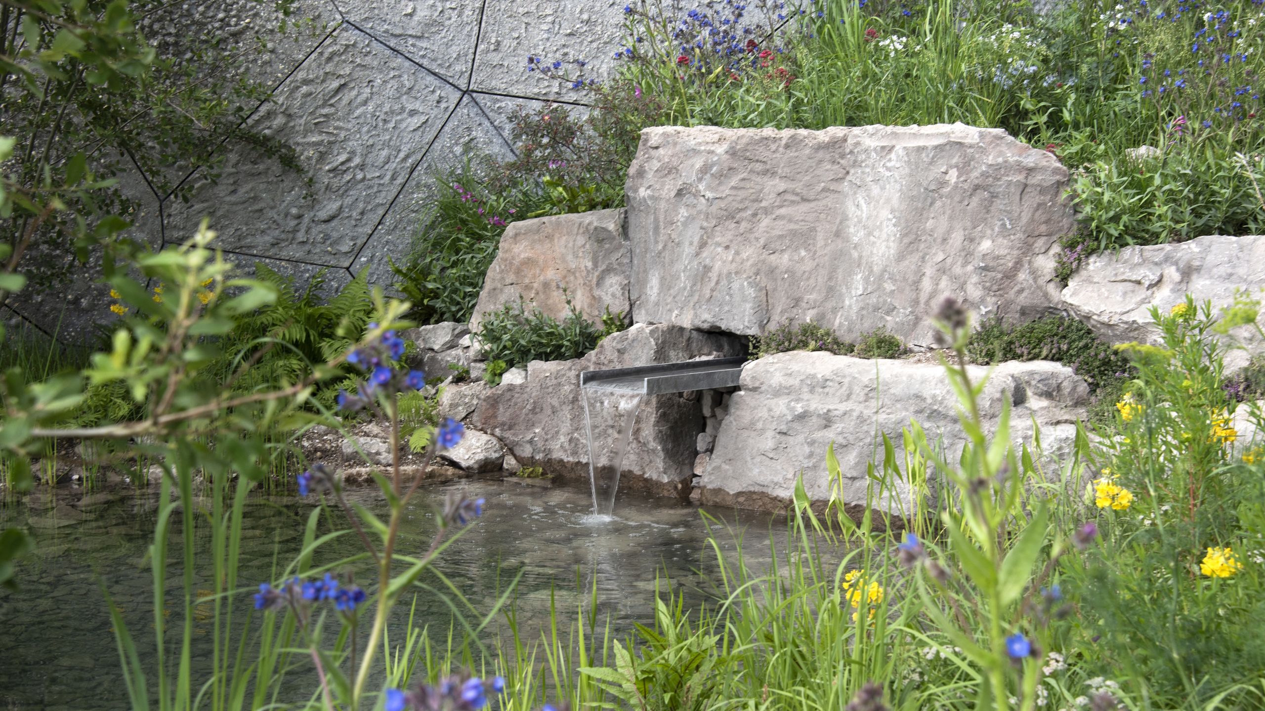 7 unerwartete Möglichkeiten, Haushaltswasser im Garten wiederzuverwenden, wenn Ihre Regentonnen leer sind