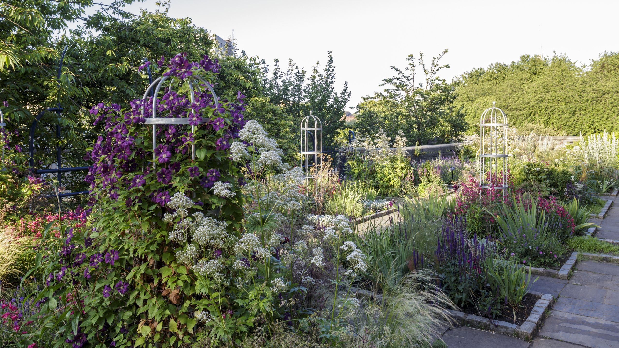 Beschneiden Sie diese Pflanzen im Juli für mehr Blumen, größere Ernten und einen besseren Garten im nächsten Jahr