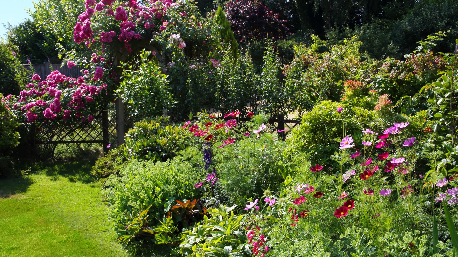 Ein blühender Garten im Sommer