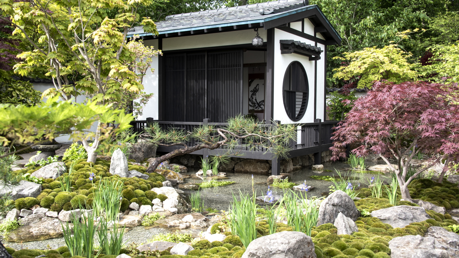 Der „Tokonoma-Garten – Sanumaya no Niwa“ Garten auf der Chelsea Flower Show 2026
