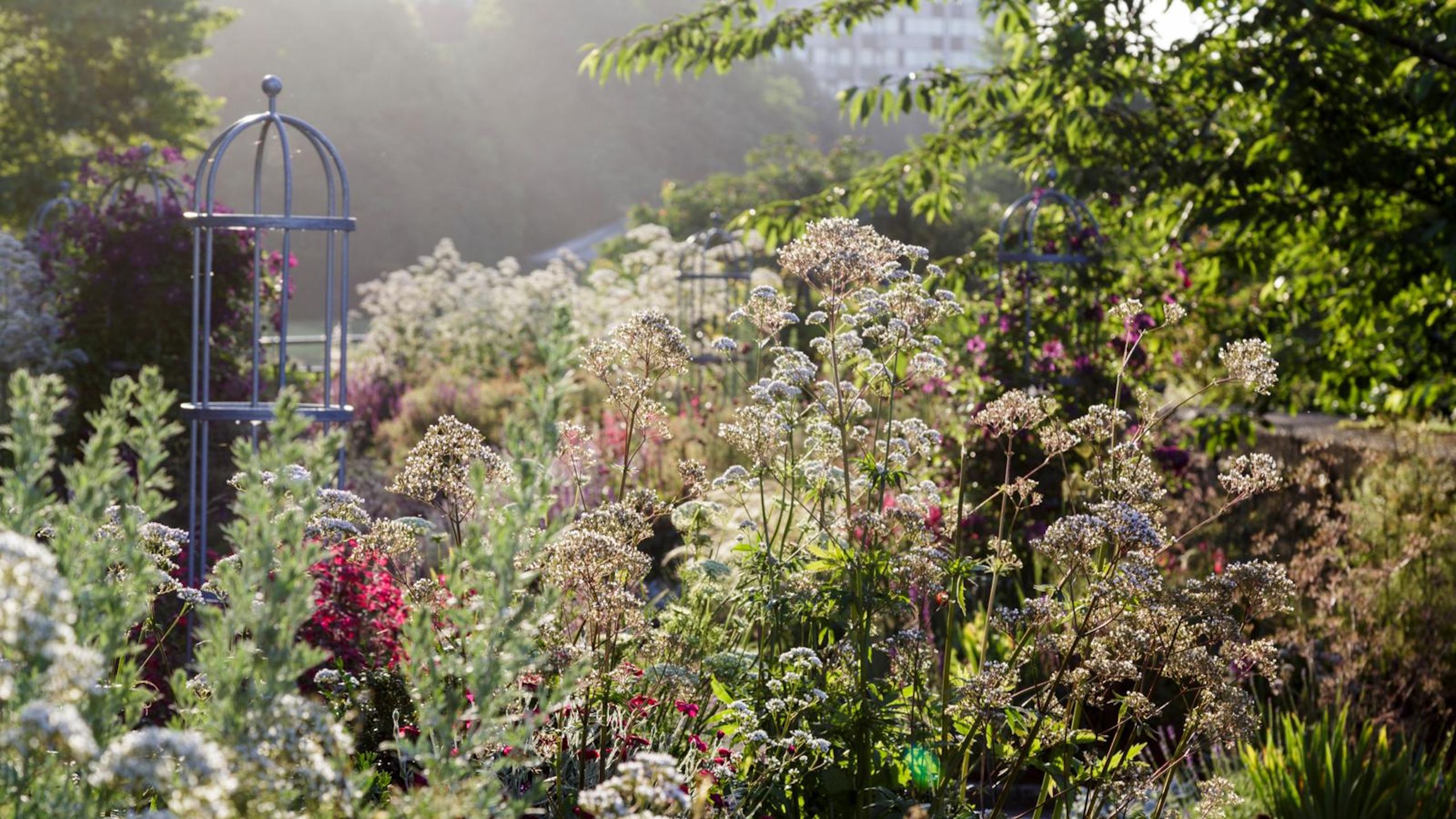 3 Gartenarbeiten, mit denen Sie im August auf jeden Fall aufhören können, um Ihren Garten in der Spätsaison einfacher zu gestalten