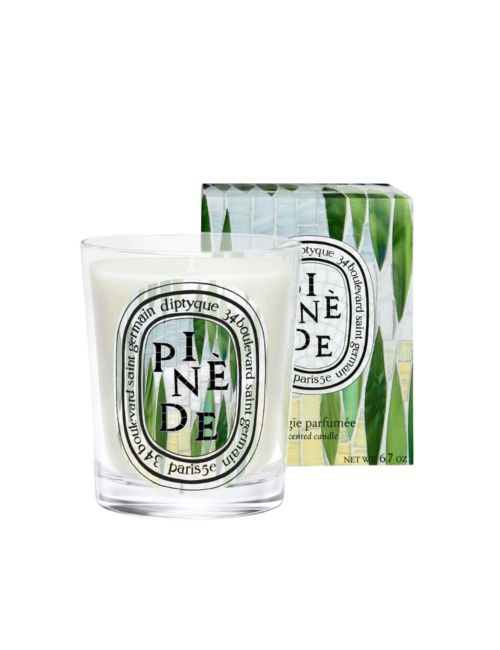 Klassische Kerze „Pinède“ (Kiefernhain).