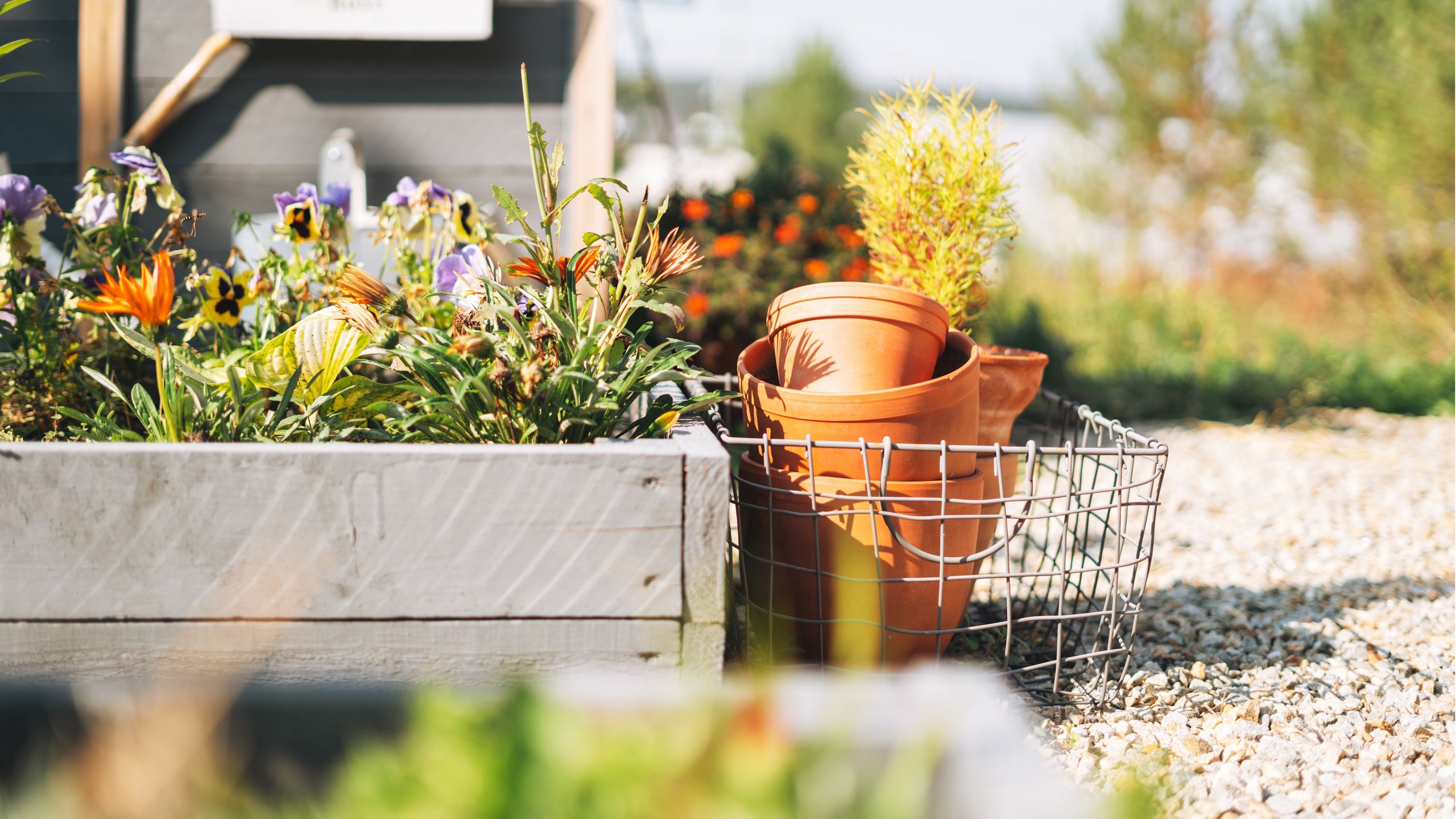 Die Vinyl-Hochbeete von Costco haben den Bauerngarten-Charme von Holz ohne Fäulnis – und sind überraschend erschwinglich