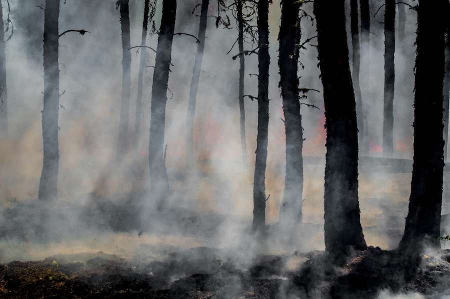 There’s nothing ‘wild’ about most wildfires – humans start them and have made them more dangerous