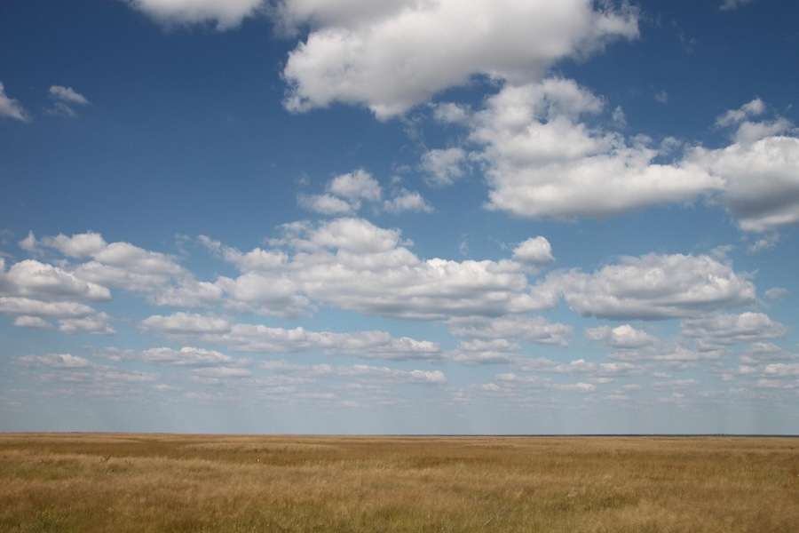 UK drought: crop harvests at severe risk of collapse