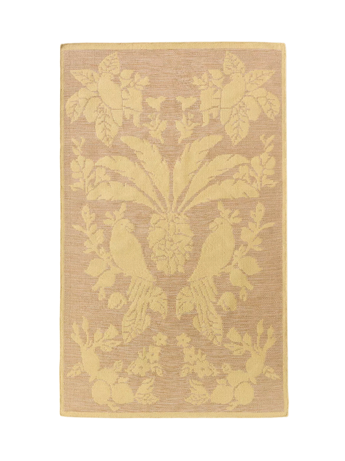 Farm Rio Flachgewebter Papageien-Teppich für den Außenbereich, 5' x 8'