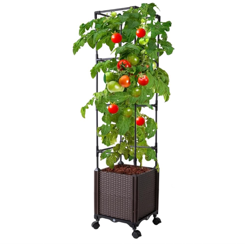 Hochbeet mit Spalier