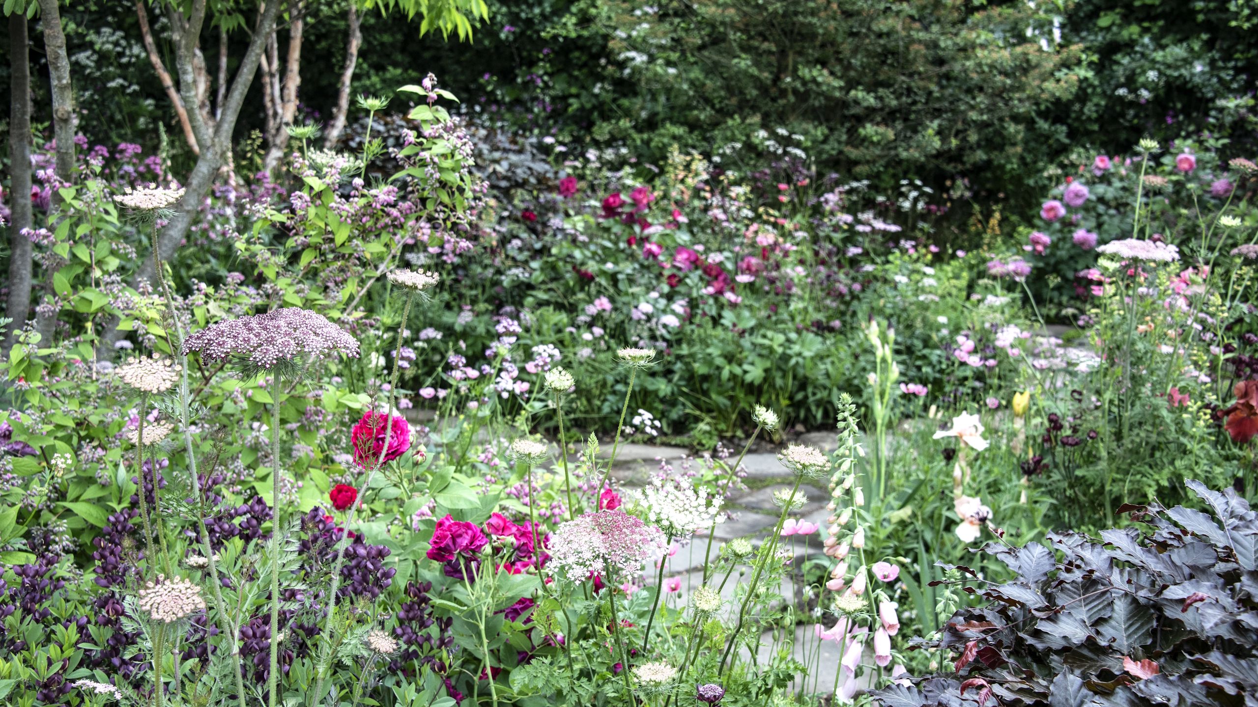 Wenn Sie diese 7 Blumen im August pflücken, werden Sie bis in den Herbst hinein prächtig blühen