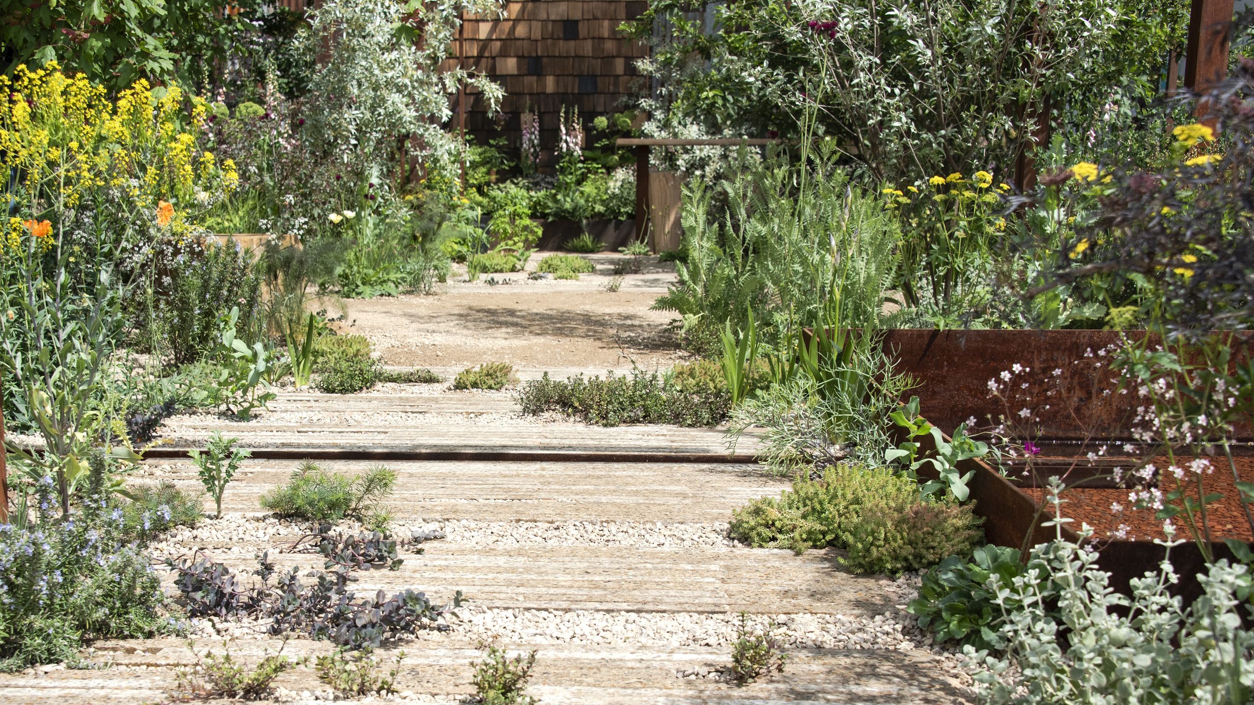 Wenn Sie nur 15 Minuten Zeit für den Garten haben, sind diese Jobs laut Experten Ihre Zeit im Sommer wert