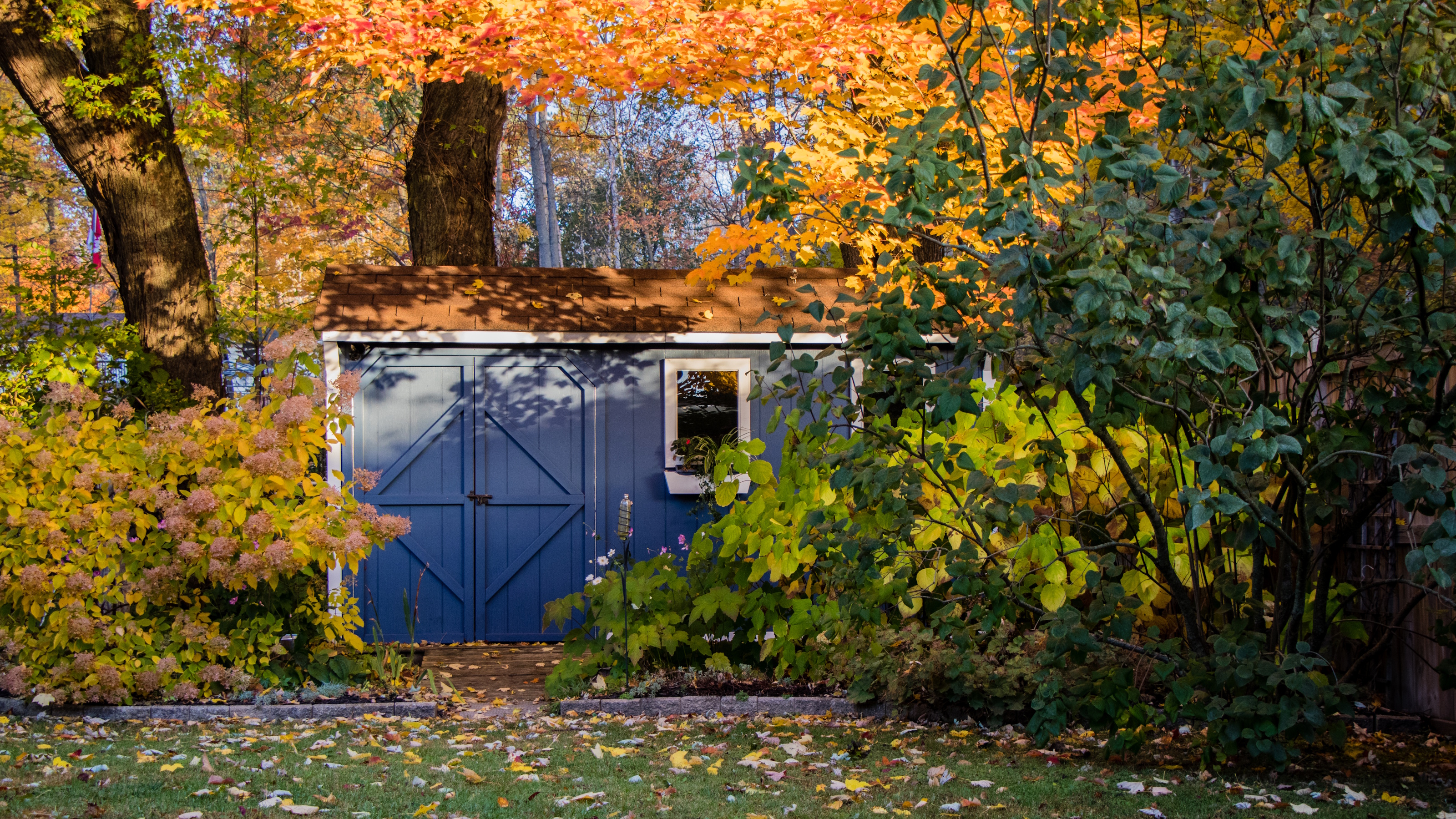 Herbstgarten