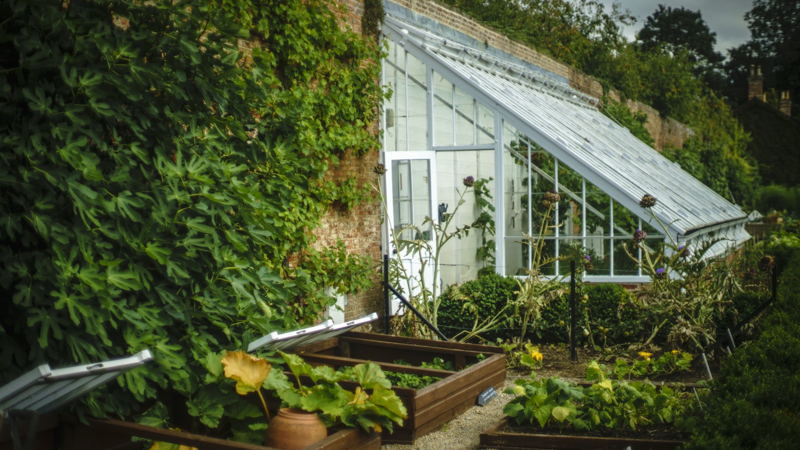 Gewächshaus in einem Gemüsegarten