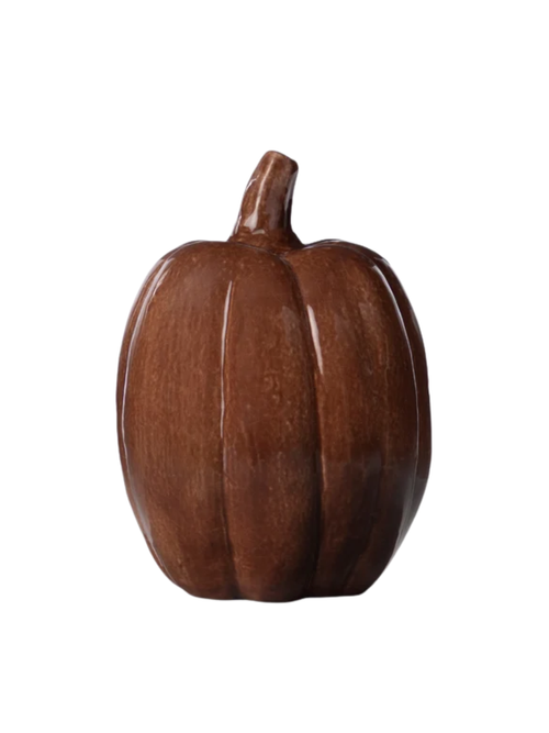 Herbstkürbis in glänzendem Braun