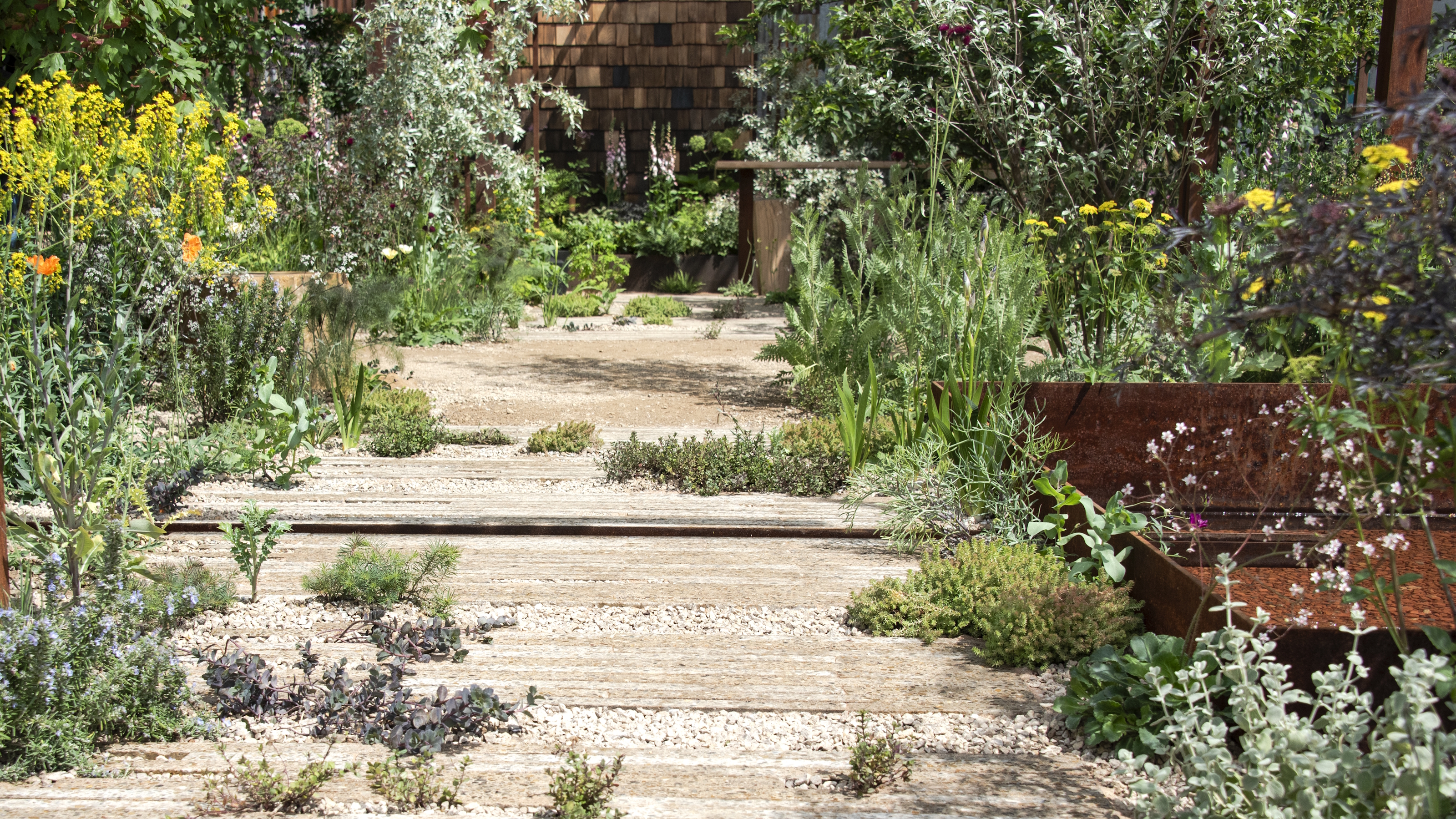 Ein sonniger Kiesgarten mit Steinpflastersteinen auf der Chelsea Flower Show