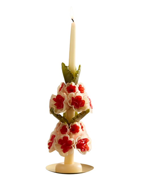 Oaxaca-Blumenkerze