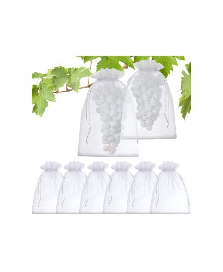 Transparente Schutzbeutel für Obstbäume