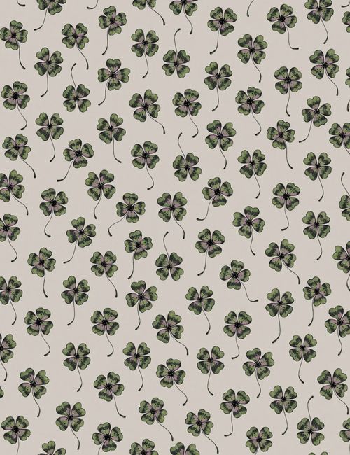 „Lucky“ Ammonit – Tapetenrolle
