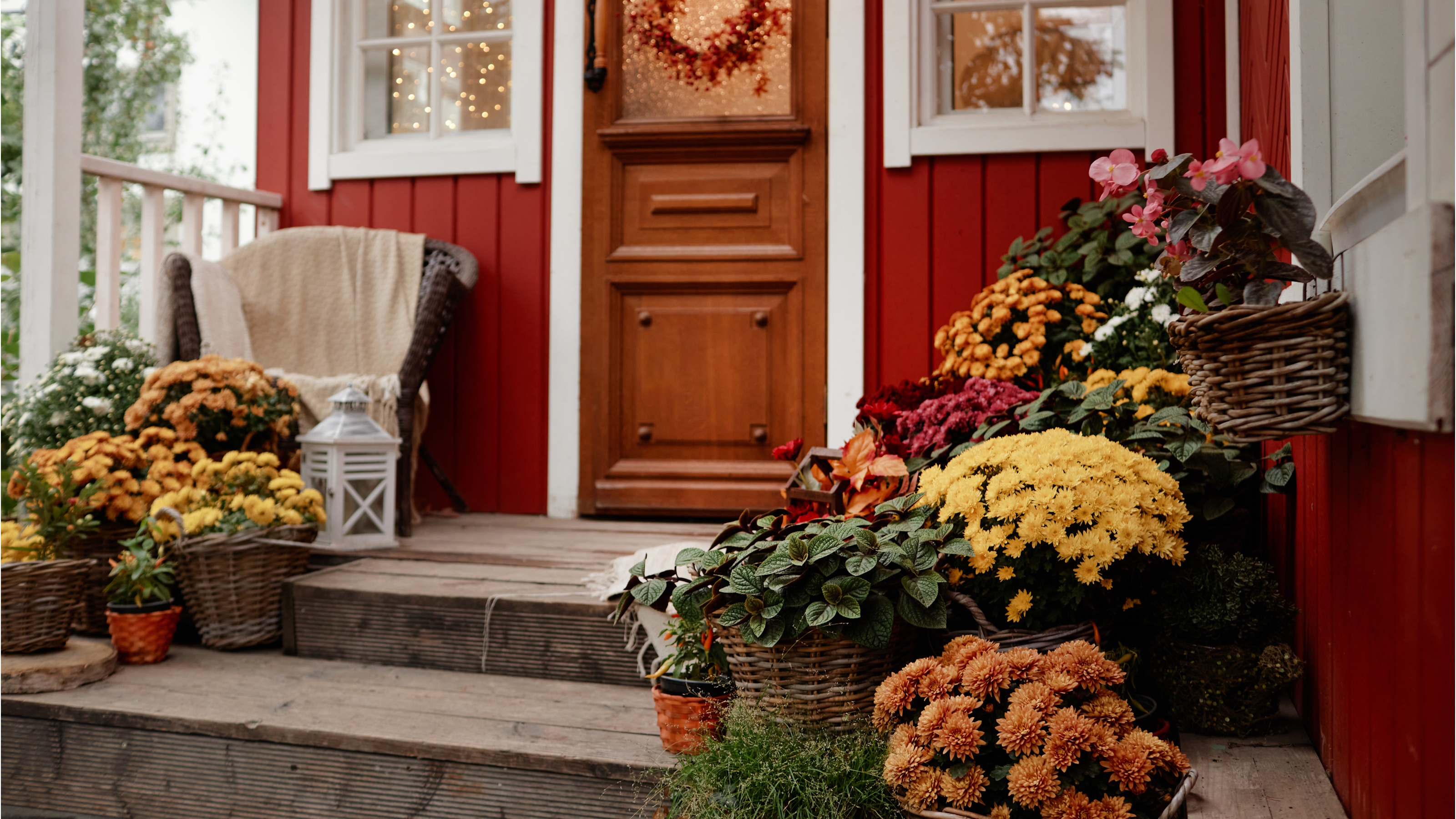 Herbstliche Veranda mit Topfpflanzen, darunter Chrysanthemen