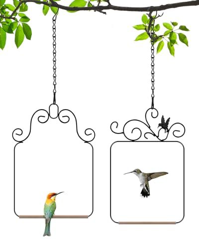 Kolibri-Schaukeln 