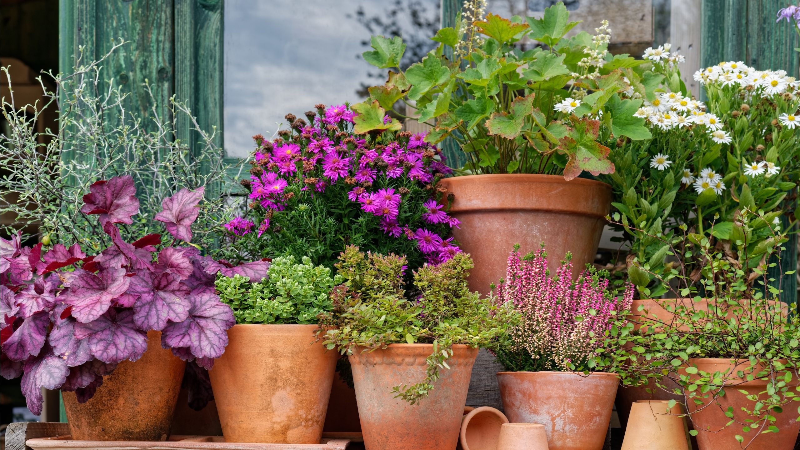 Dieser wunderschöne Mosaik-Pflanzenkorb dient gleichzeitig als Terrassendekoration – und macht das Umstellen von Behältern im Herbst zum Kinderspiel