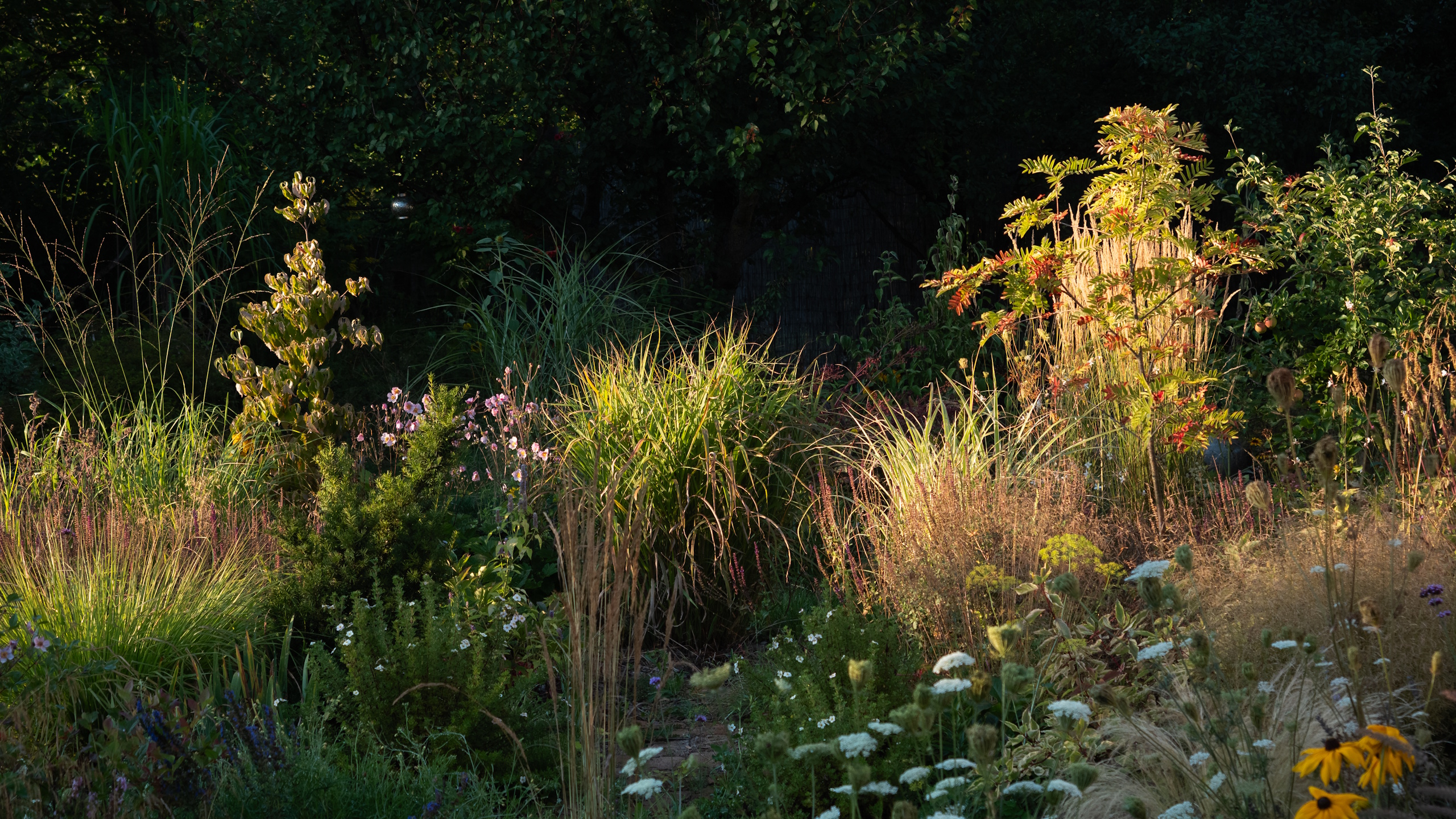 Naturalistische Gartengrenze 