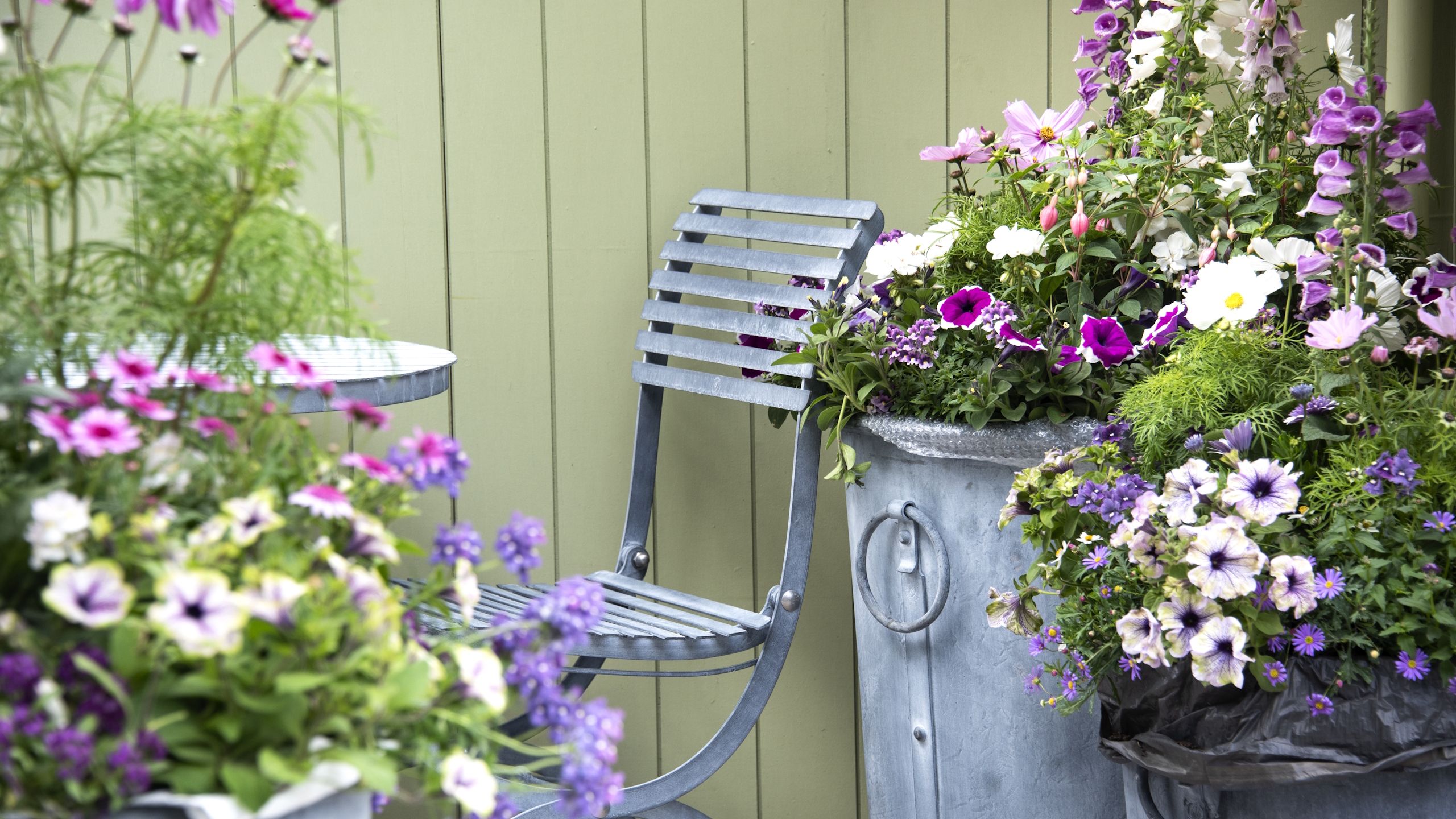 Fügen Sie diese Pflanzen im September in Container ein, um einen Garten voller Winterfarben und -interessen zu erhalten