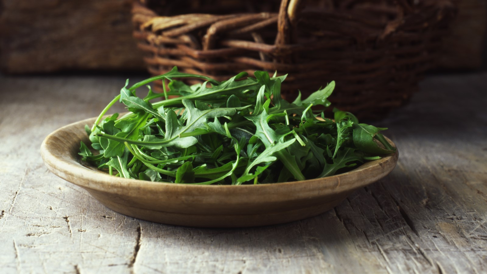 Eine Schüssel mit geerntetem Rucola