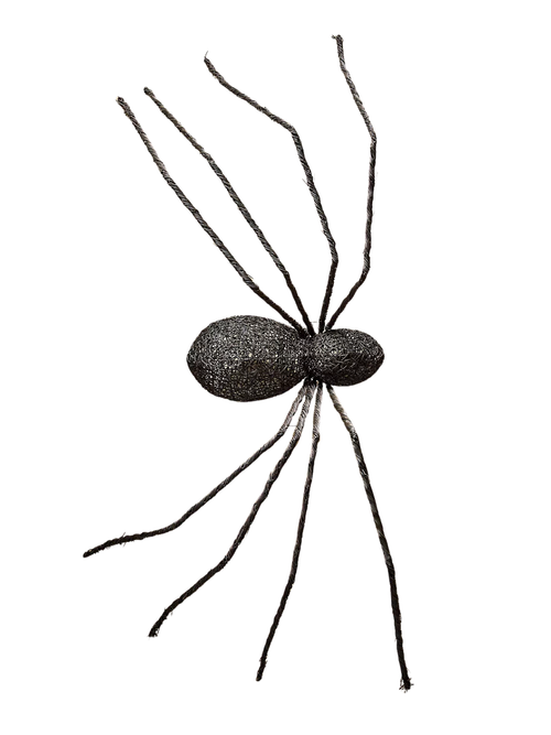 Gelände-Riesen-Rattan-Rankenspinne