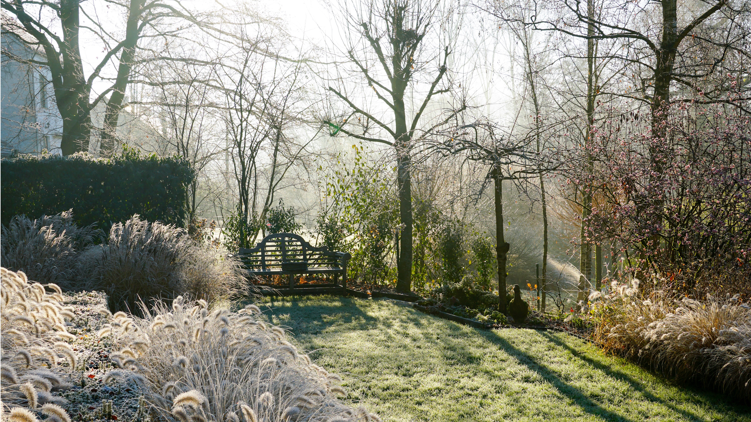 Frostiger Garten