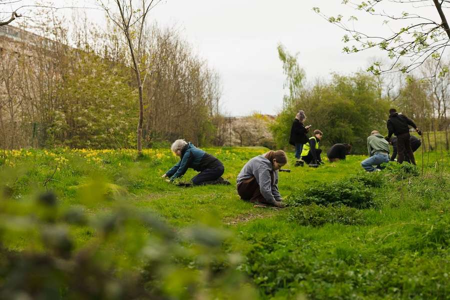 Project to create Wild Spaces for butterflies and moths across Leeds