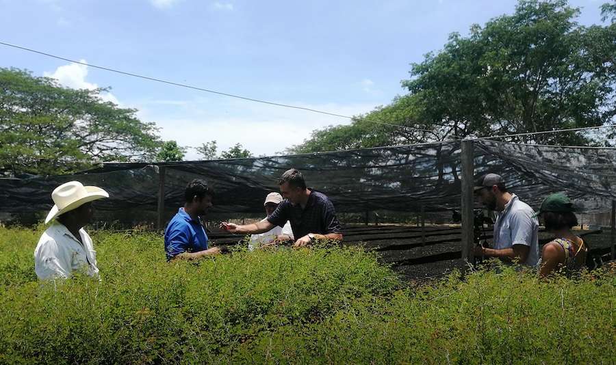 Water retailer helps restore vital forest habitat