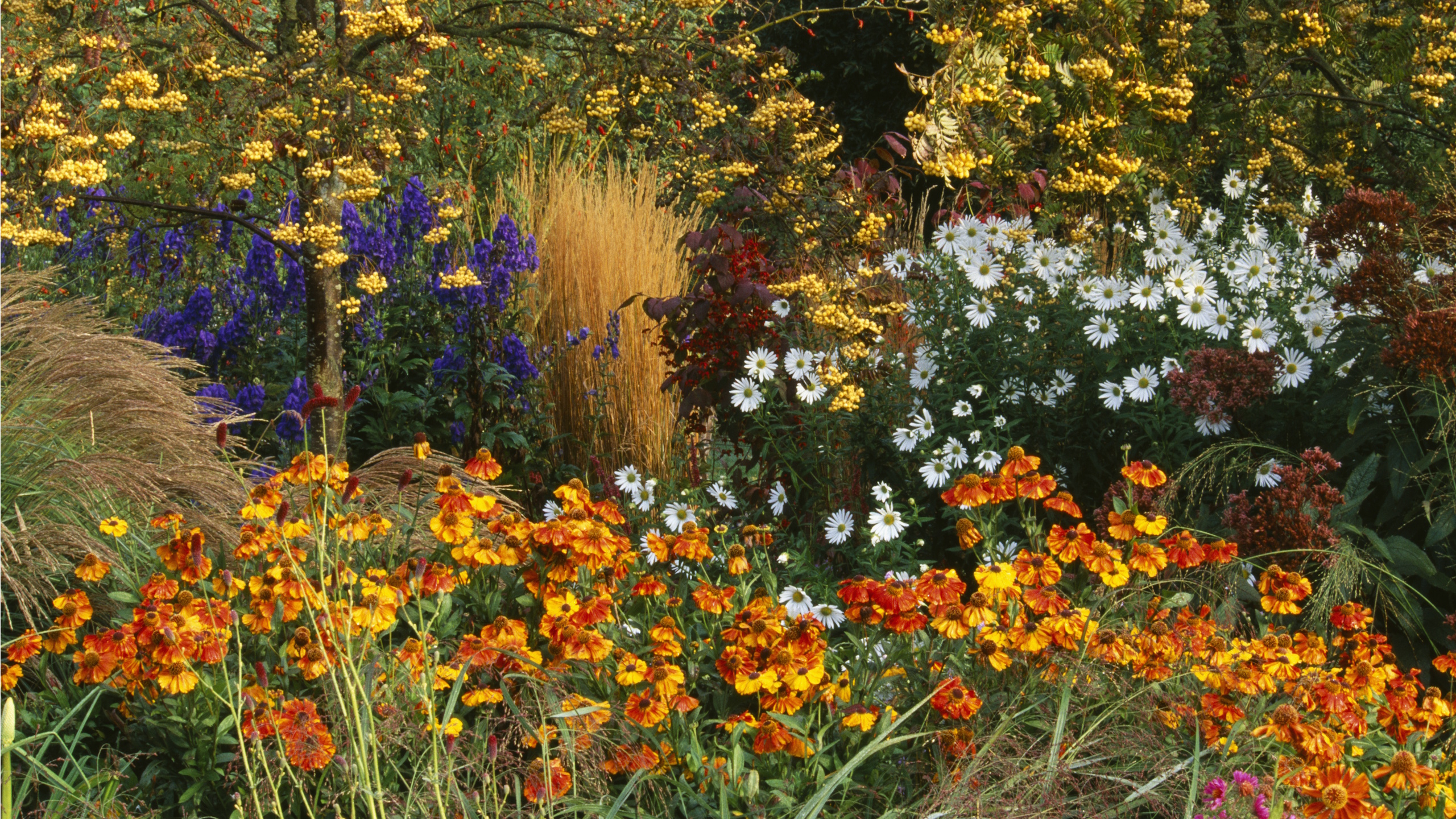Herbstgrenze voller Farbe